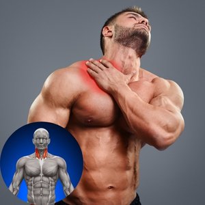 neck muscle benefits