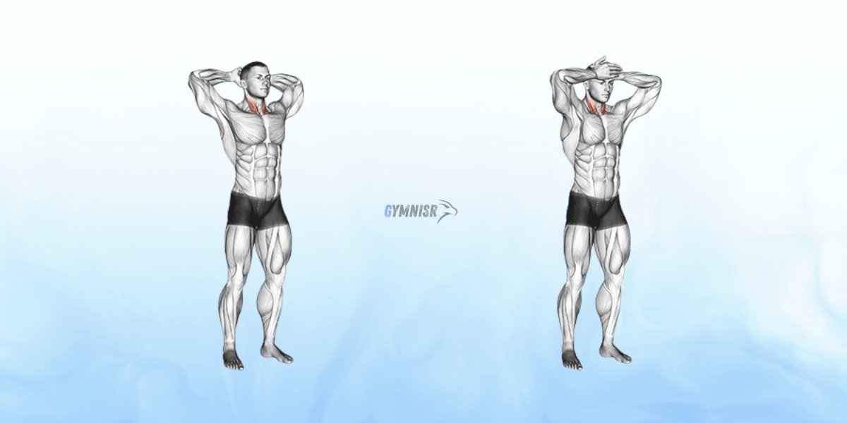 Front and Back Neck Stretch